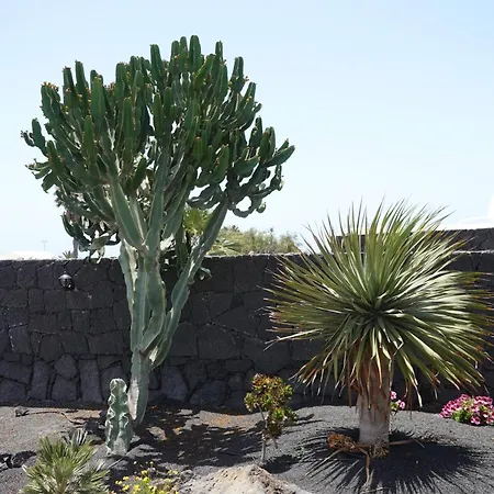 Villa Endearing Lanzarote Dorada 3 Bedrooms Private Pool Sun Terrace Hot Tub Playa Blanca (Lanzarote)